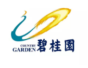 景宁碧桂园地产
